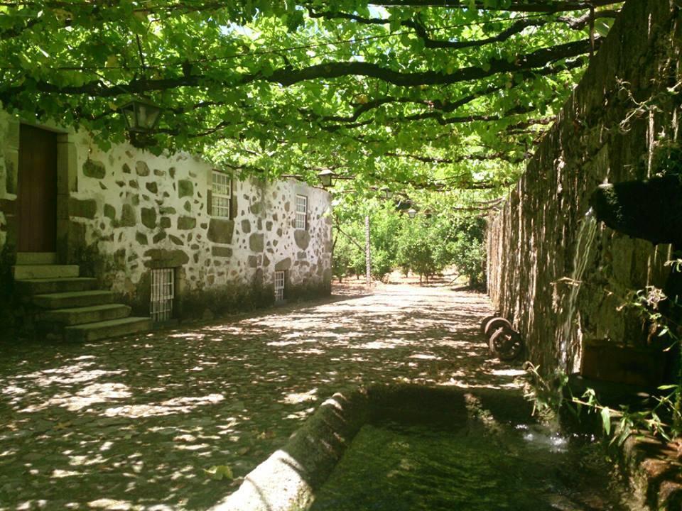 Estabulo De Valinhas Villa Vitorino dos Piães Eksteriør bilde